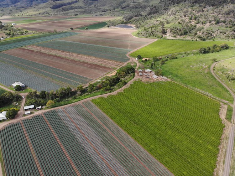 Drone view of irrigation infrastructure