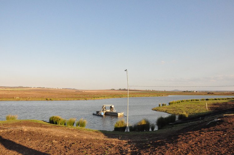 Irrigation pump shed