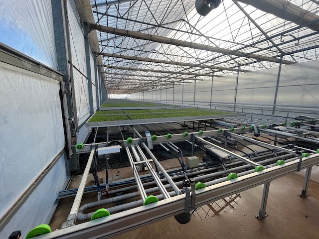 Greenhouse heating infrastructure