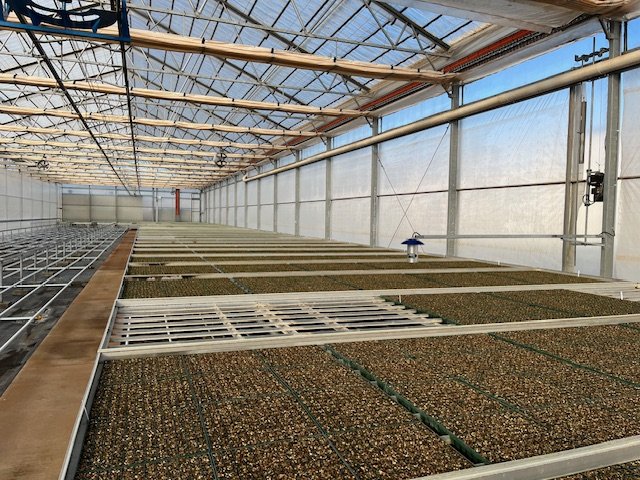 Completed boiler shed and control system